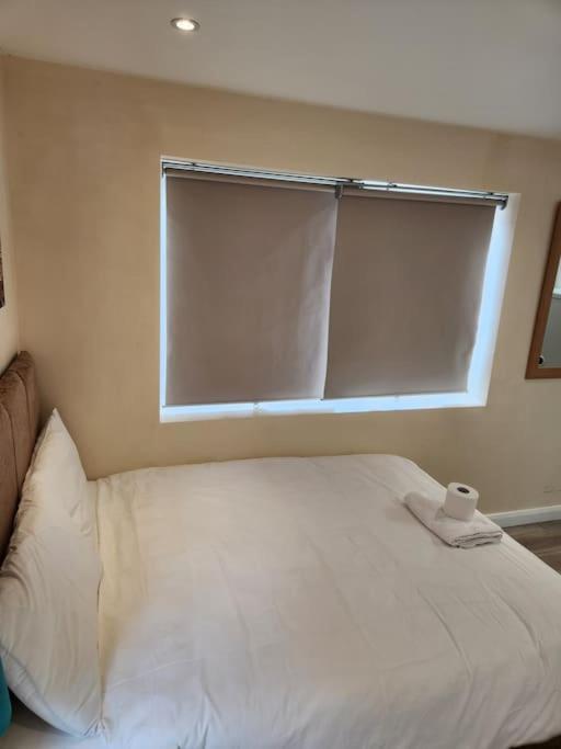 Beautiful Private En-Suite Room With Its Own Entry بيكسليهيث المظهر الخارجي الصورة